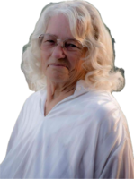 Sue G Cunningham